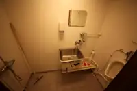 Tàu chở hàng rời để bán