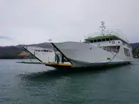 Tàu đổ bộ, chở hàng để bán