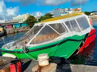 Tàu phà rao bán