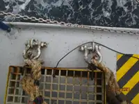 Tàu lạnh để bán