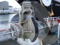 Trawler rao bán