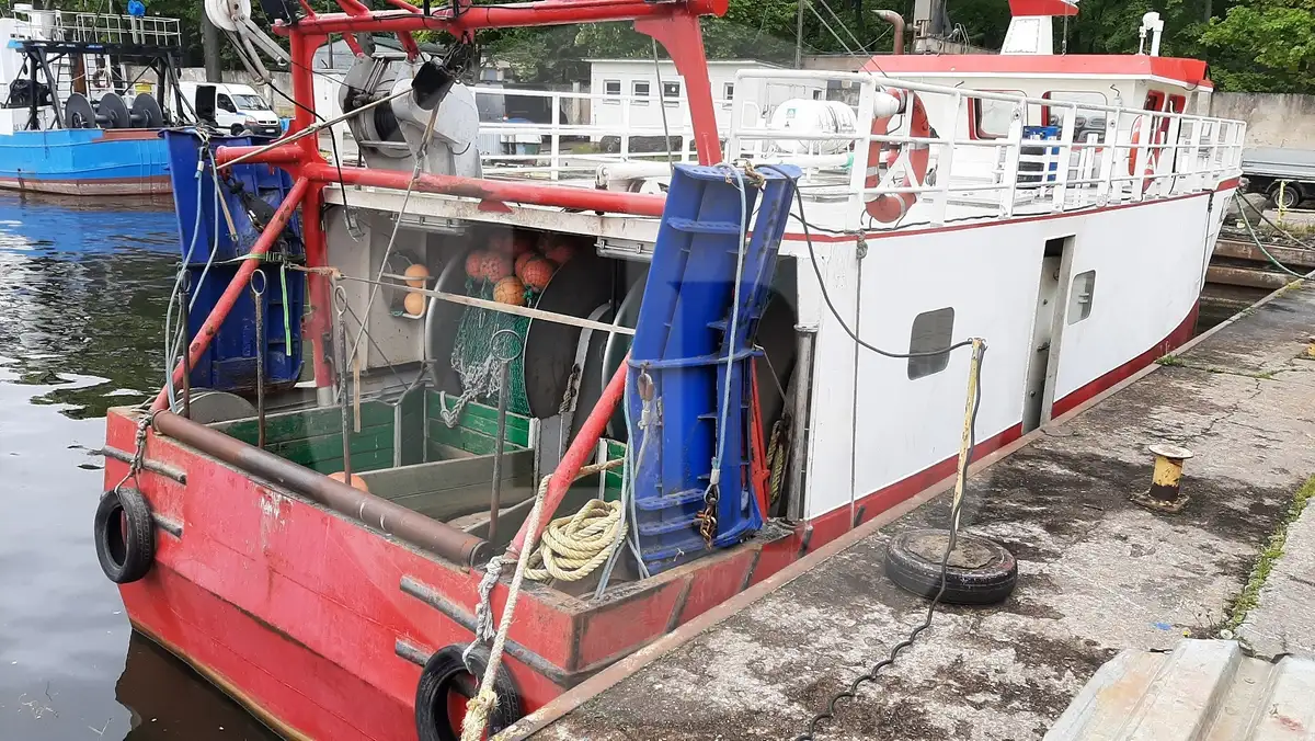 Tàu chở cá sống để bán