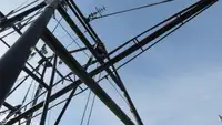 Tàu kéo lưới để bán