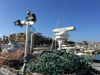 Tàu kéo lưới để bán