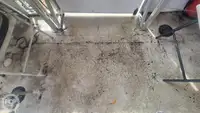 Tàu du lịch để bán