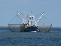 Trawler rao bán