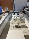 Tàu làm việc để bán