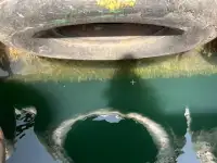 Tàu kéo để bán