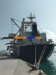 Tàu chở hàng rời để bán