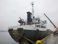 Tàu chở hàng rời để bán
