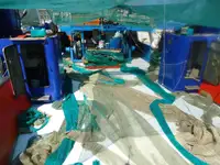 Trawler rao bán