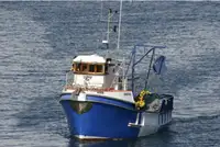 Trawler rao bán