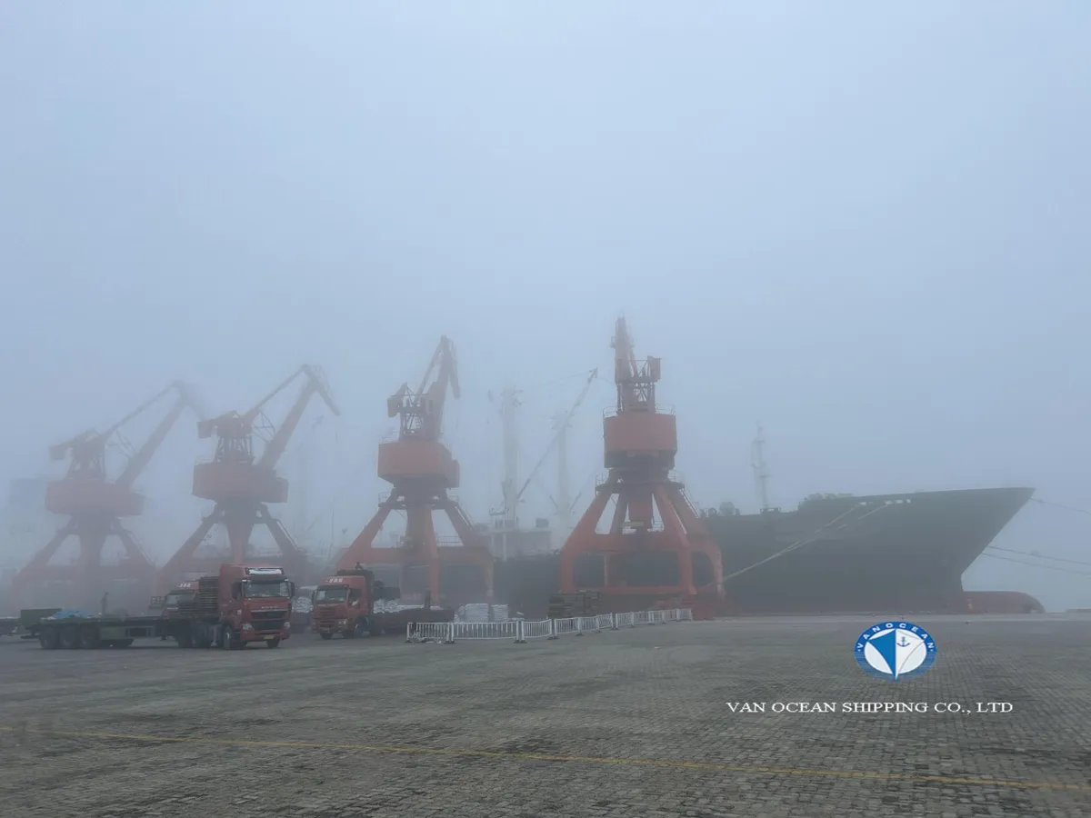 Tàu lạnh để bán
