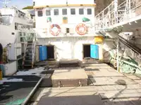 Tàu câu dài để bán