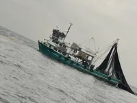 Tàu lưới vây để bán