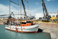 Trawler rao bán