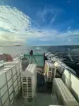 Tàu container để bán