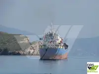 Tàu chở hàng rời để bán