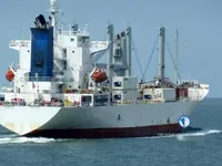 Tàu lạnh để bán