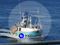 Beam trawler rao bán