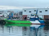 Tàu làm việc để bán