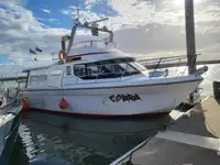 Trawler rao bán