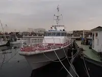 Tàu tuần tra để bán