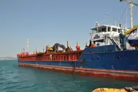 Tàu chở hàng rời để bán