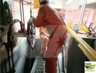 Tàu khảo sát để bán