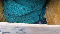 Tàu kéo lưới để bán
