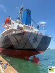 Tàu chở hàng rời để bán