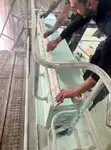 Tàu làm việc để bán