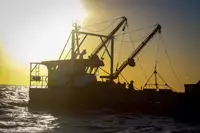 Tàu làm việc để bán
