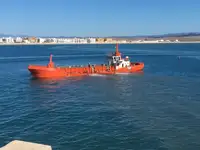 Tàu container để bán