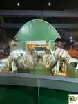 Tàu Ro-Ro để bán