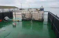 Sà lan để bán