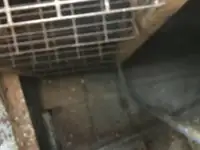 Tàu kéo để bán