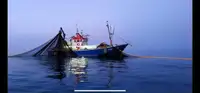 Trawler rao bán
