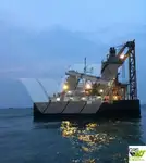 Tàu chở hàng rời để bán