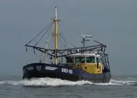 Máy nạo vét rao bán