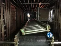 Tàu câu mực để bán