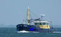 Tàu kéo lưới ngang để bán