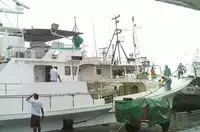 Longliner rao bán
