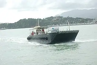 Tàu đổ bộ, chở hàng để bán