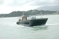 Tàu đổ bộ, chở hàng để bán