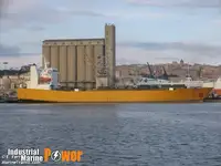 Ro-Ro ship rao bán