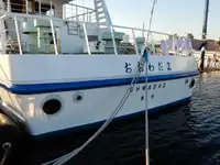 Tàu du lịch để bán