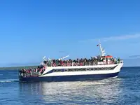 Tàu chở khách rao bán