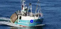 Beam trawler rao bán