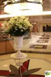 Tàu du lịch để bán
